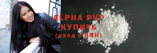 прущие грибы Гусь-Хрустальный