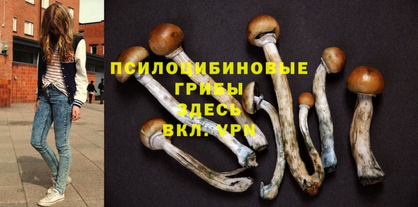 гидра Кулебаки