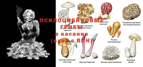 синтетический гашиш Гусь-Хрустальный