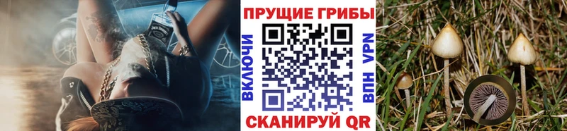 Галлюциногенные грибы мицелий  ссылка на мегу ссылка  Енисейск 